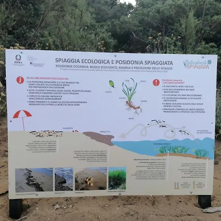 Aparthotel Residenza Dei Cavalleggeri San Vincenzo